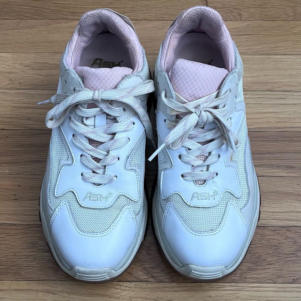 ASH Addict Sneakers - Size 39